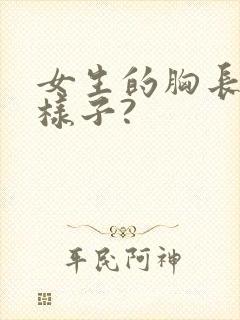 女生的胸长什么样子?