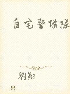 自宅警备队攻略