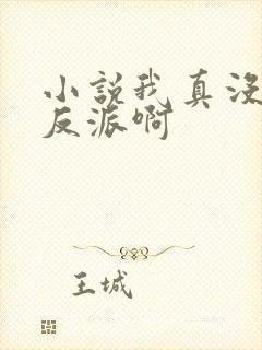 小说我真没想当反派啊封面