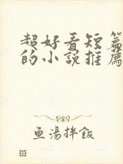 超好看短篇言情的小说推荐封面