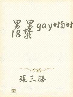 男男gay啪啪18禁