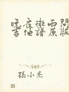 晚夜微雨问海棠吉他谱原版