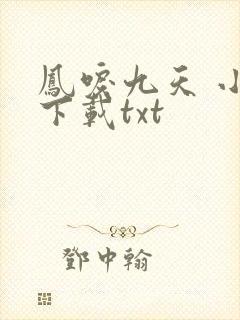 凤唳九天 小说下载txt