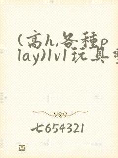 (高h,各种play)1v1玩具双性