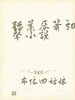 听叶辰萧初然有声小说