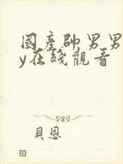 国产帅男男gay在线观看