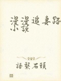 漫漫追妻路免费小说封面