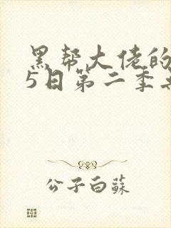 黑帮大佬的365日第二季无删减