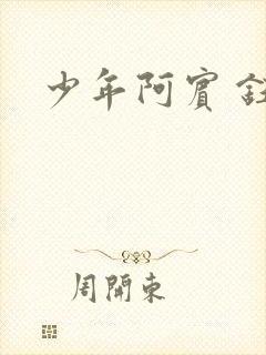 少年阿宾 钰慧封面