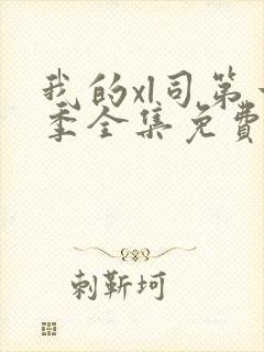 我的xl司第一季全集免费观看