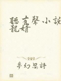 听有声小说上门龙婿