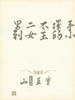 男二不择手段得到女主的小说
