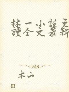 林一小说免费阅读全文最新章节封面