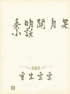 秦明关月是什么小说