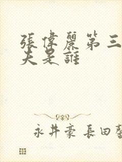 张伟丽第三任丈夫是谁封面