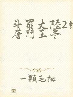 斗罗大陆2绝世唐门王冬