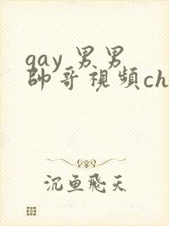 gay 男男 帅哥视频chinese