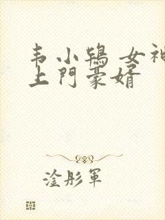 韦小鸨 女神的上门豪婿