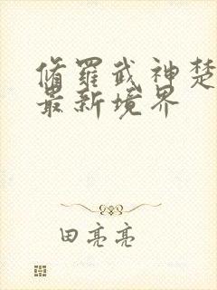 修罗武神楚枫的最新境界封面