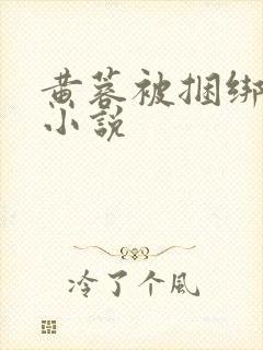 黄蓉被捆绑调教小说