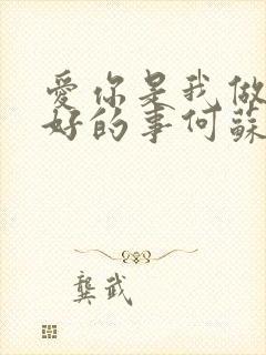 爱你是我做过最好的事何苏叶