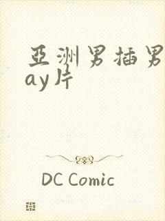 亚洲男插男同gay片封面