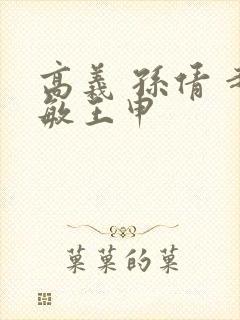 高义 孙倩 赵敏王申