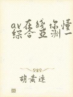 av在线你懂的综合亚洲一区