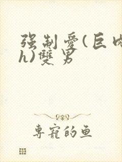 强制爱(巨肉高h)双男