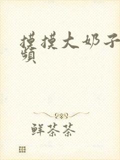 摸摸大奶子的视频