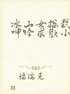 冰山女总裁堕落呻吟求欢小说封面