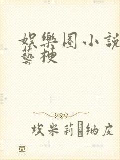 娱乐圈小说有综艺梗