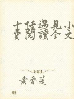 十佳遇见小说免费阅读全文