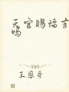 天官赐福有番外吗封面