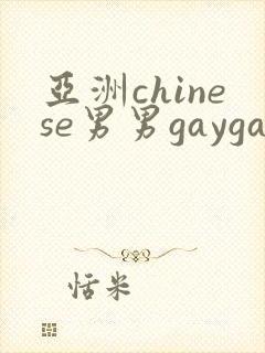 亚洲chinese男男gaygay网站