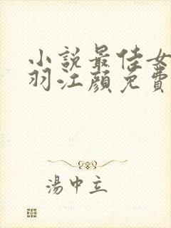 小说最佳女婿林羽江颜免费阅读