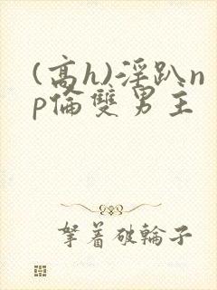 (高h)淫趴np伦双男主