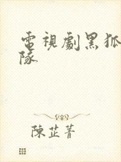 电视剧黑狐突击队封面