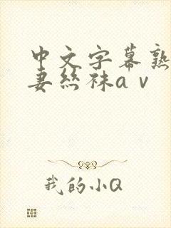 中文字幕熟女人妻丝袜aⅴ封面