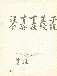 没有下辈子韩剧全集在线观看免费