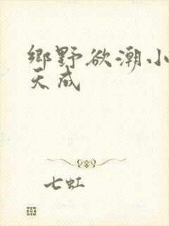 乡野欲潮小说林天成