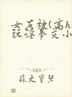 女友被(高h)玩淫拳交小说