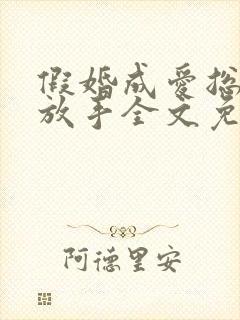 假婚成爱总裁别放手全文免费阅读封面