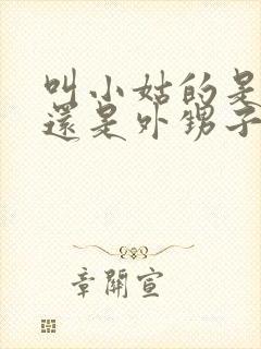 叫小姑的是侄子还是外甥子封面