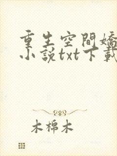 重生空间娇娇媳小说txt下载封面