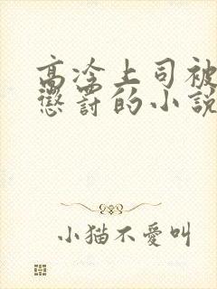 高冷上司被下属惩罚的小说双男主封面