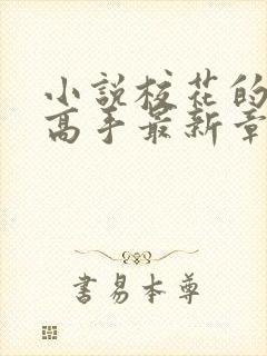 小说校花的贴身高手最新章节在线