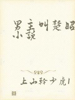 男主叫楚昭野的小说封面