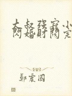 大叔强宠小娇妻闪婚财阀完整封面