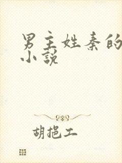 男主姓秦的穿越小说